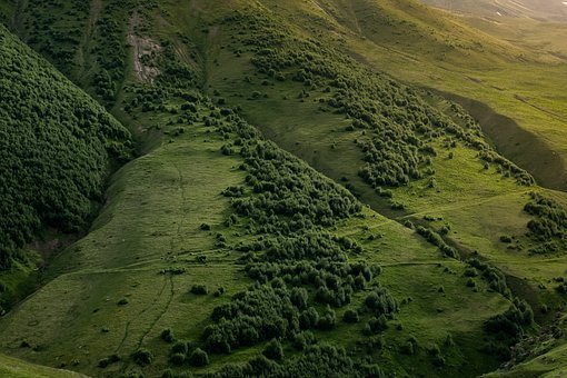 山坡, 小山, 景观, 山坡上, 边坡, 山, 自然, 森林, 树